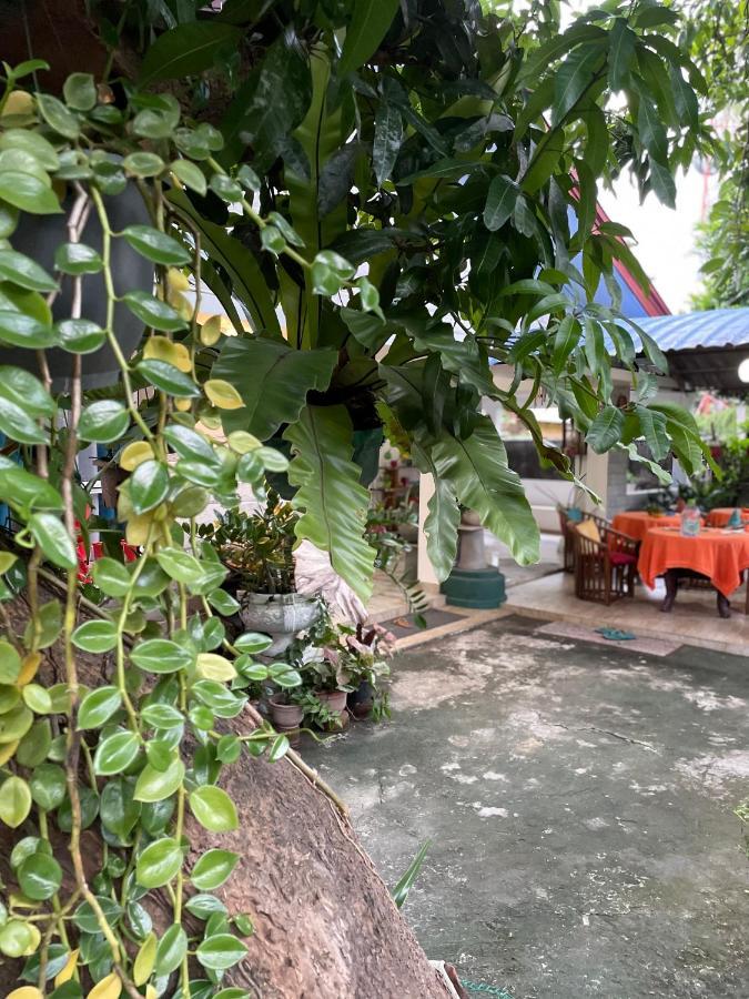 Rock Cascade Tourist Home & Cookery School Polonnaruwa Bagian luar foto