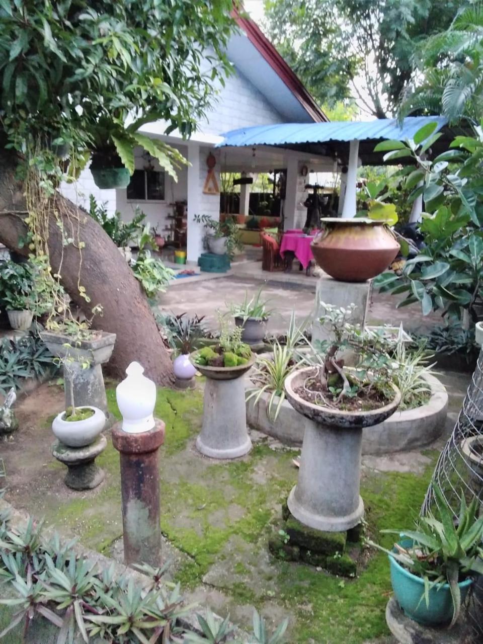 Rock Cascade Tourist Home & Cookery School Polonnaruwa Bagian luar foto