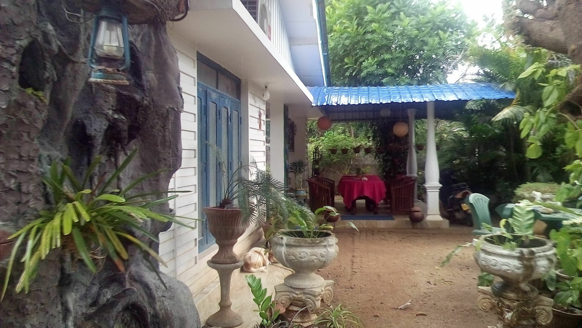 Rock Cascade Tourist Home & Cookery School Polonnaruwa Bagian luar foto